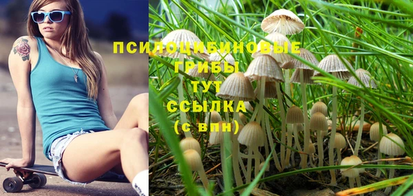 бошки Володарск
