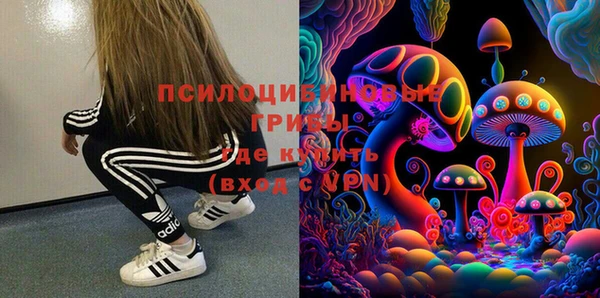 ГАЛЛЮЦИНОГЕННЫЕ ГРИБЫ Волоколамск