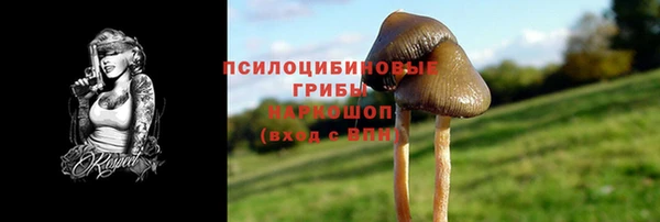 бошки Володарск