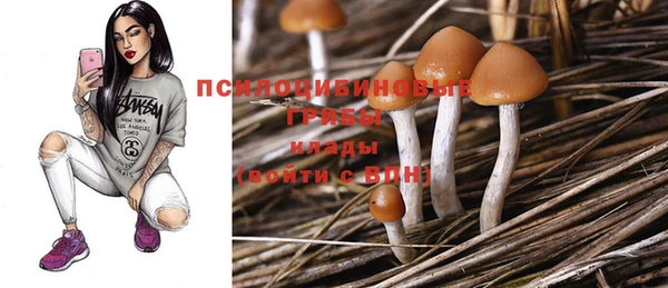 ГАЛЛЮЦИНОГЕННЫЕ ГРИБЫ Волоколамск