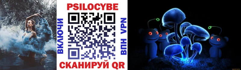 купить закладку  kraken вход  Псилоцибиновые грибы Cubensis  Хадыженск 